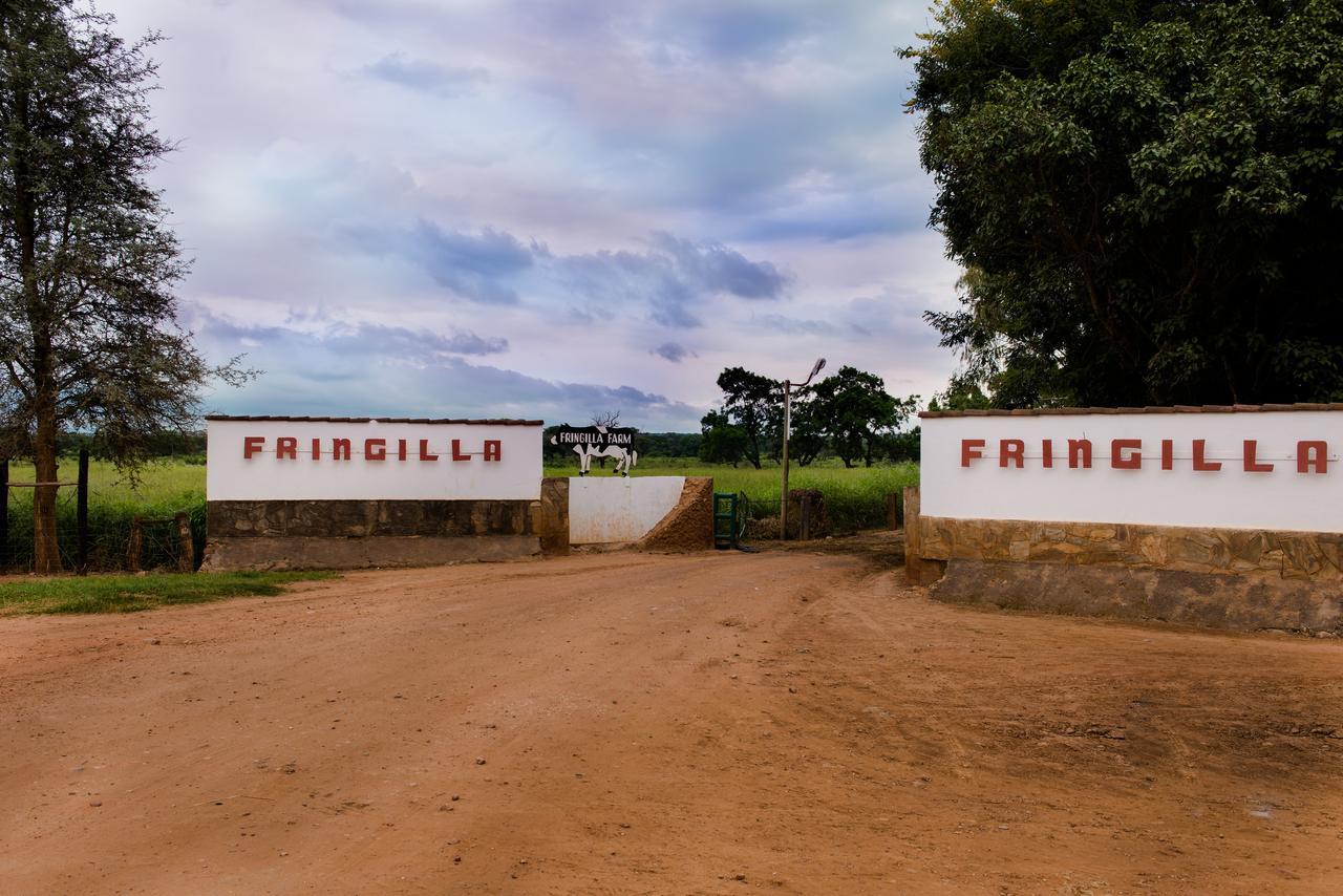 Fringilla Lodge Chisamba Exterior foto